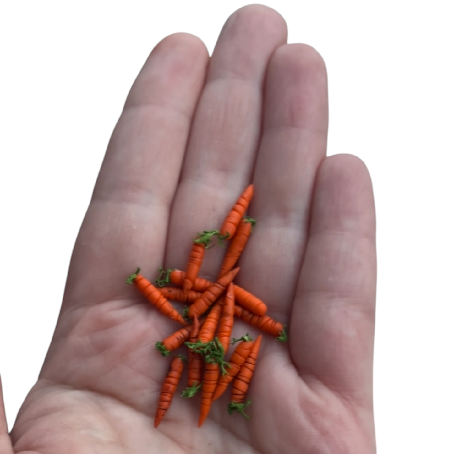 1:12 Set van 6 wortels - Handgemaakt - Poppenhuis
